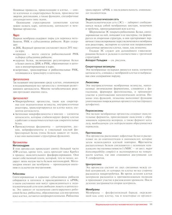 Наглядная патология. 2-е изд