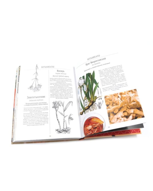 Библия бармена; Delicatessen. Культовые коктейли закуска; Аперитив. Король коктейлей (комплект из 3-х книг)