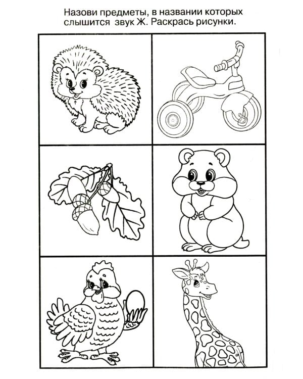 Логопедические домашние задания. Изучаем звуки и буквы Ж-Ш