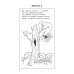 Вместе дешевле Букварь + Полный курс подготовки к школе (коплект из 2-х книг)