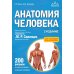 Анатомия человека: атлас с qr-кодами на цветные изображения. 2-е изд