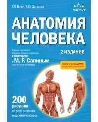 Анатомия человека: атлас с qr-кодами на цветные изображения. 2-е изд