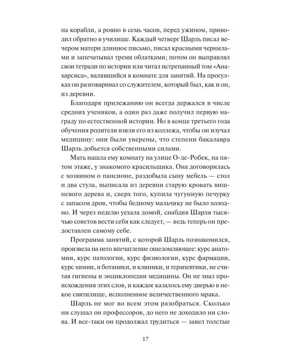 Госпожа Бовари. Вечные истории