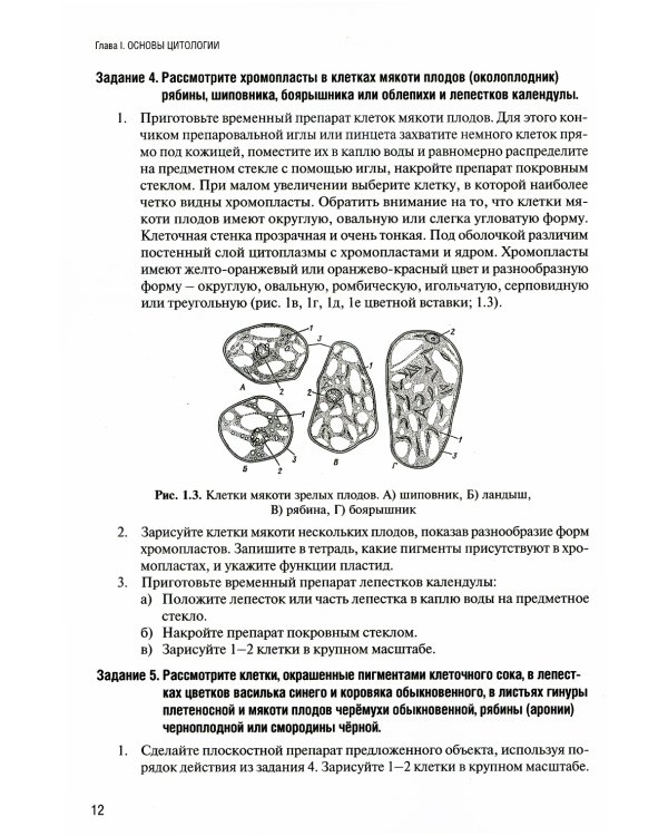 Лабораторный практикум по ботанике. Анатомия растений. Ч. 1: Учебное пособие. 2-е изд., испр.и доп