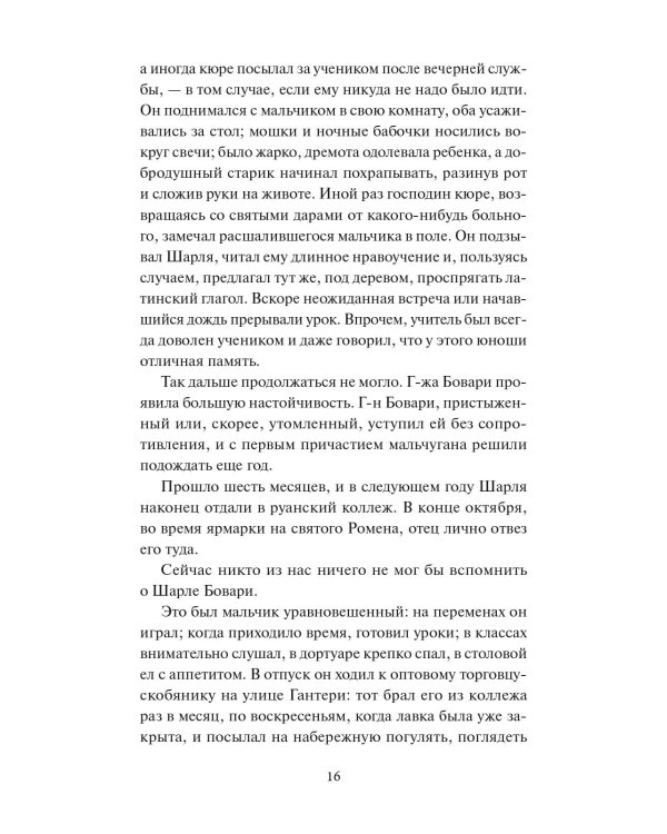 Госпожа Бовари. Вечные истории