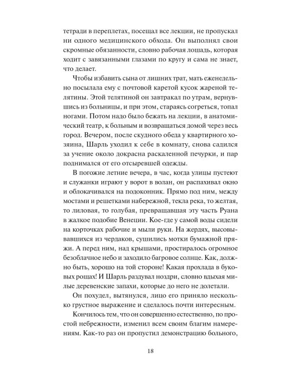 Госпожа Бовари. Вечные истории