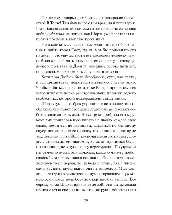 Госпожа Бовари. Вечные истории