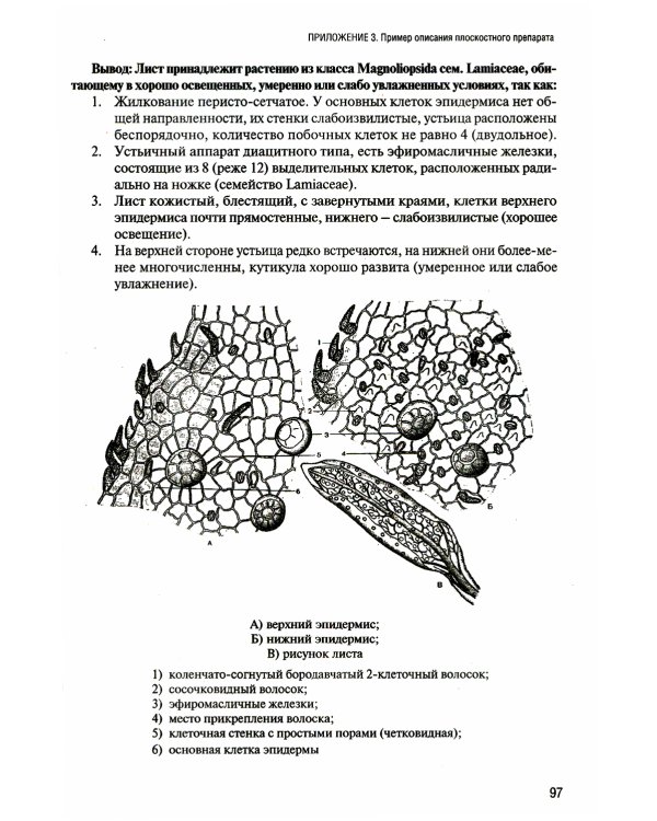 Лабораторный практикум по ботанике. Анатомия растений. Ч. 1: Учебное пособие. 2-е изд., испр.и доп