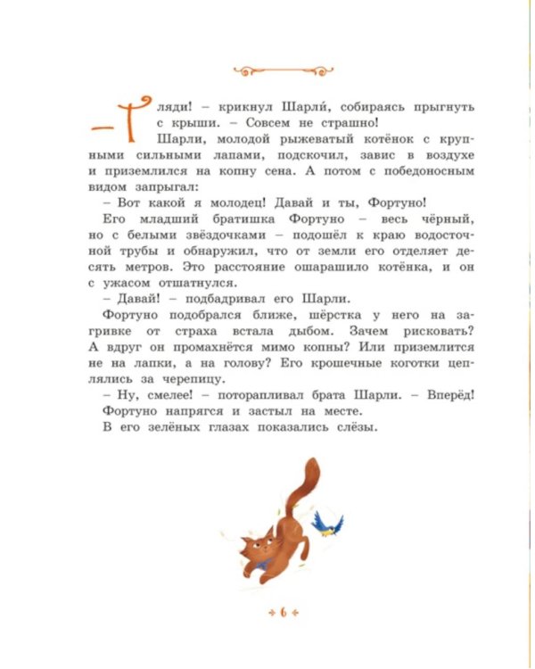 Котенок, который всего боялся