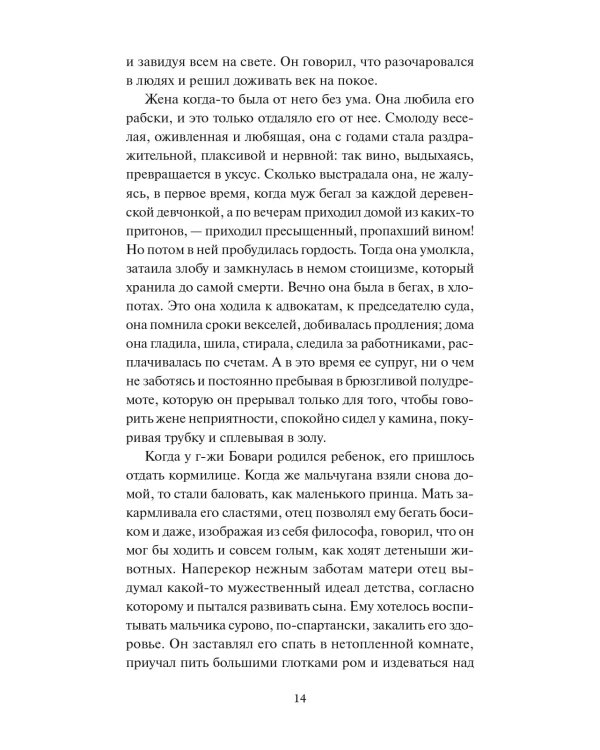 Госпожа Бовари. Вечные истории
