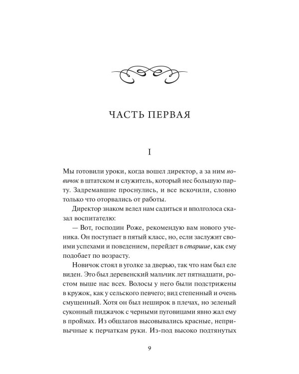 Госпожа Бовари. Вечные истории