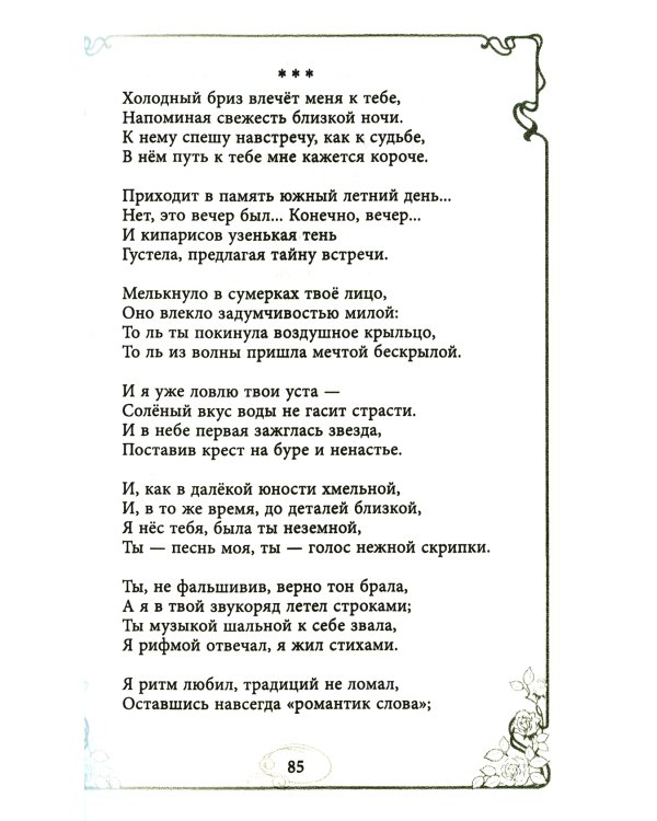 Догоняя мечту. Сборник стихов и песен