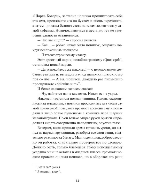 Госпожа Бовари. Вечные истории
