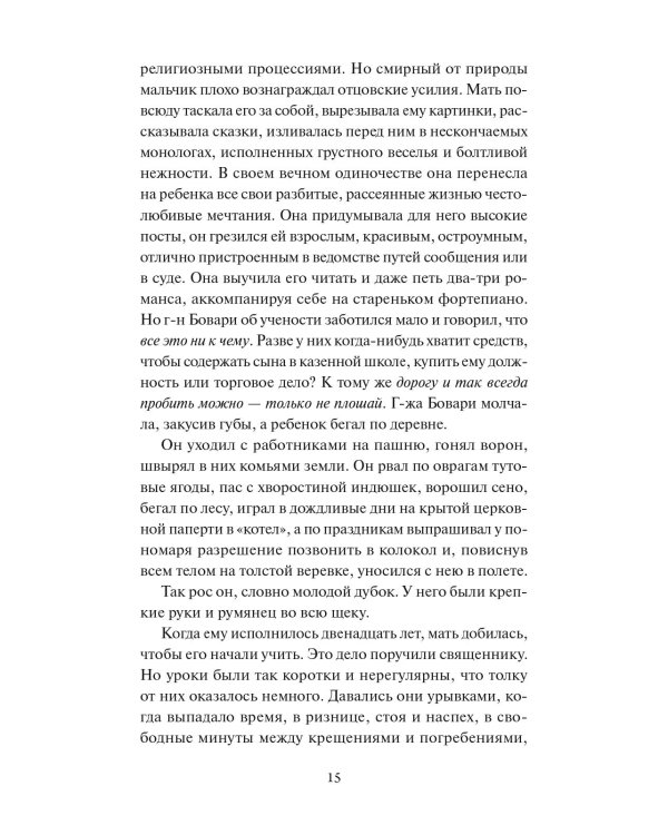 Госпожа Бовари. Вечные истории