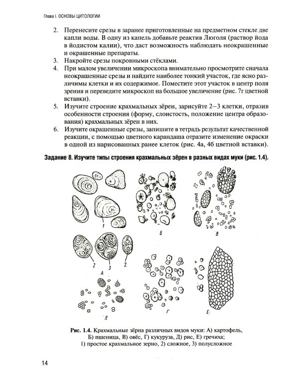 Лабораторный практикум по ботанике. Анатомия растений. Ч. 1: Учебное пособие. 2-е изд., испр.и доп