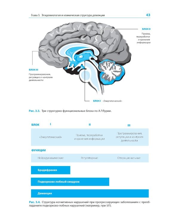Диагностика и лечение когнитивных нарушений и деменции в клинической практике. 3-е изд