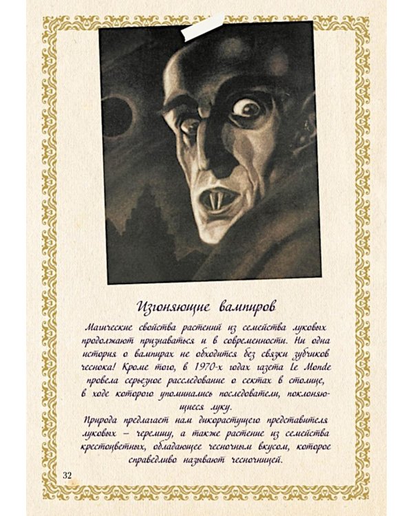 Маленький гримуар ведьмы. Зелья и волшебные травы