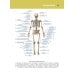 Анатомия человека. Атлас. В 3 т. Т. 1. Остеология, артросиндесмология, миология Анатомия человека. Атлас. В 3 т. Т. 1. Остеология, артросиндесмология, миология