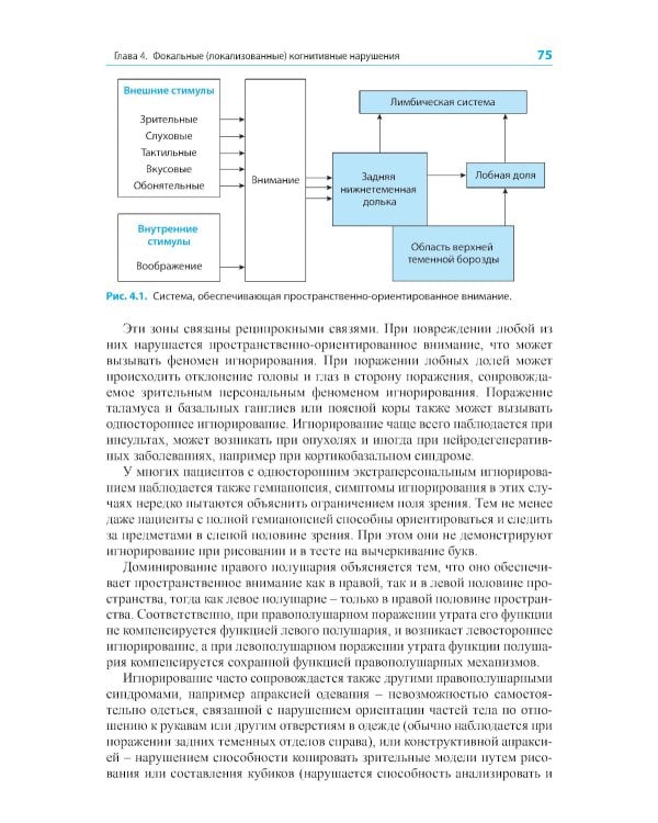 Диагностика и лечение когнитивных нарушений и деменции в клинической практике. 3-е изд