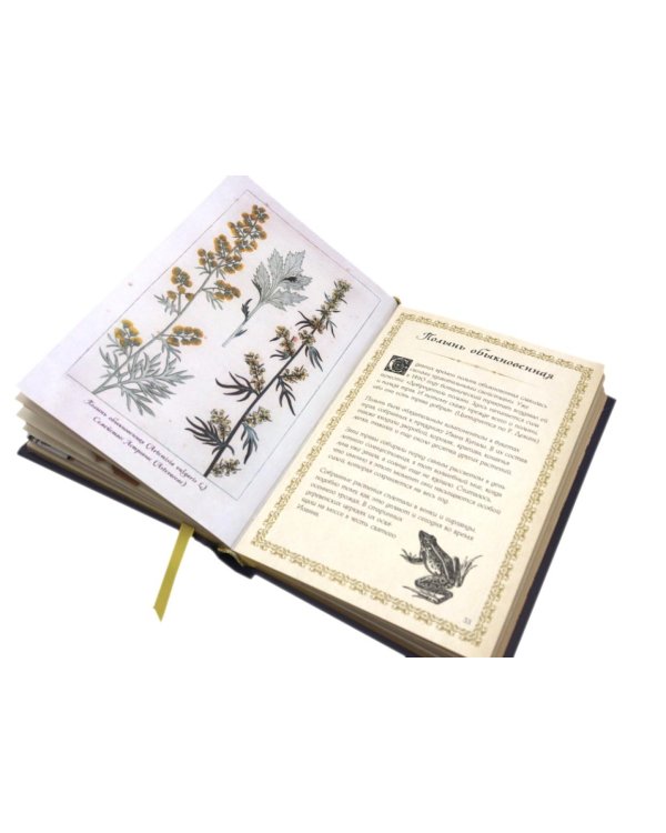 Маленький гримуар ведьмы. Зелья и волшебные травы