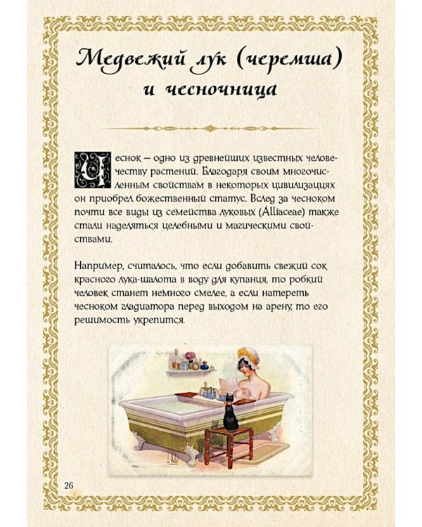 Маленький гримуар ведьмы. Зелья и волшебные травы