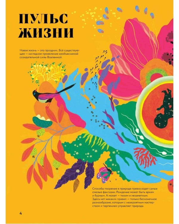 Чудесная книга жизни