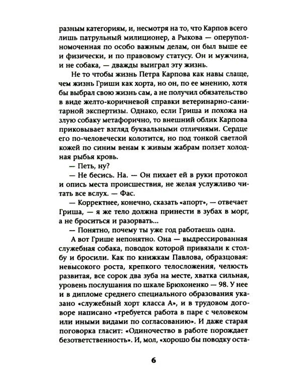 Славгород: роман