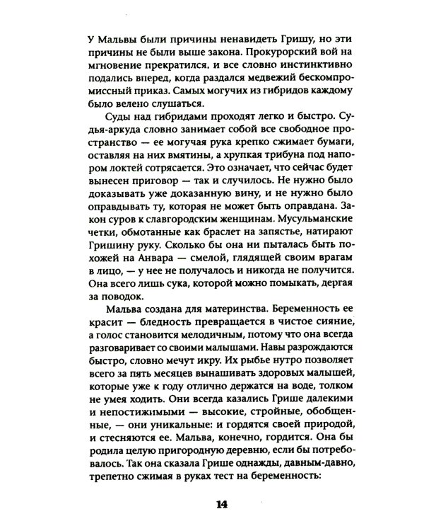 Славгород: роман