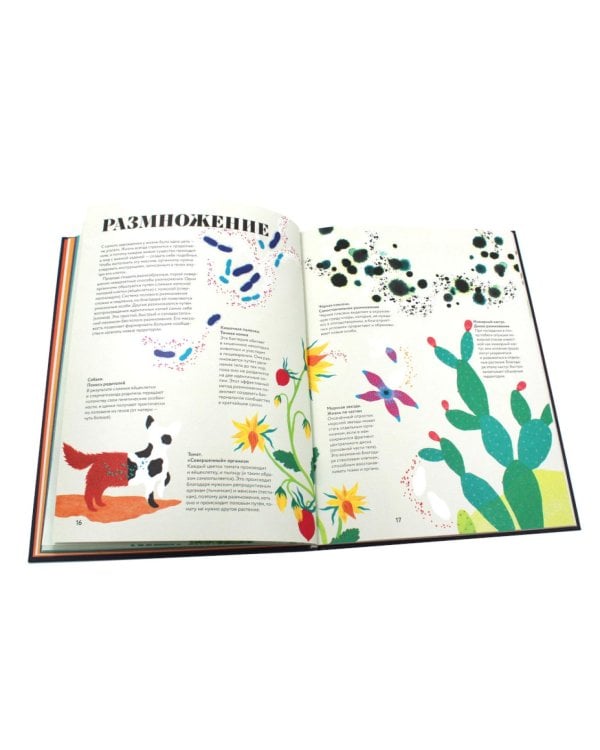 Чудесная книга жизни