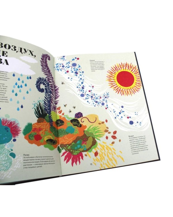 Чудесная книга жизни