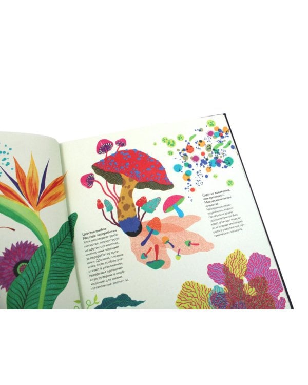 Чудесная книга жизни