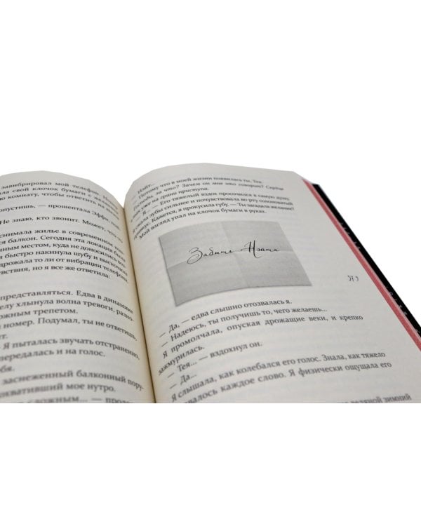 Без стыда: роман