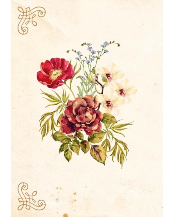 Маленький гримуар ведьмы. Зелья и волшебные травы