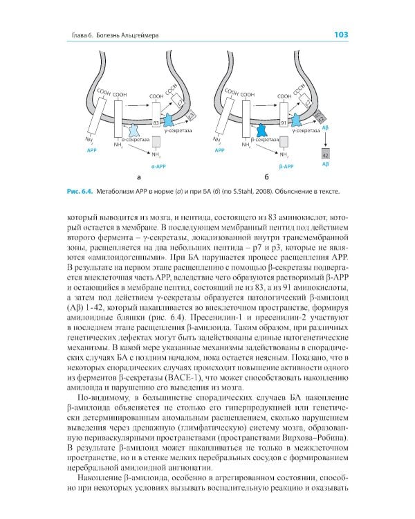 Диагностика и лечение когнитивных нарушений и деменции в клинической практике. 3-е изд