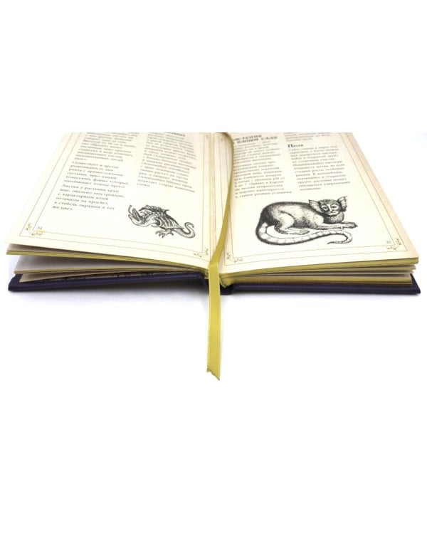 Маленький гримуар ведьмы. Зелья и волшебные травы