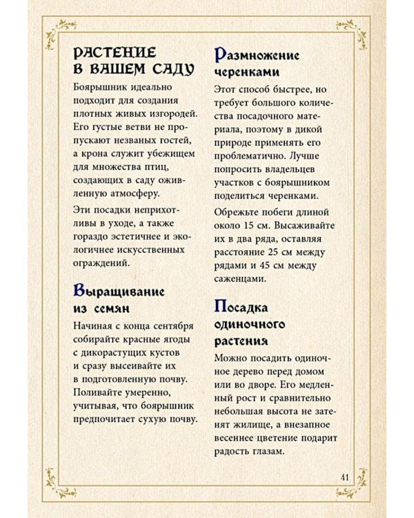 Маленький гримуар ведьмы. Зелья и волшебные травы