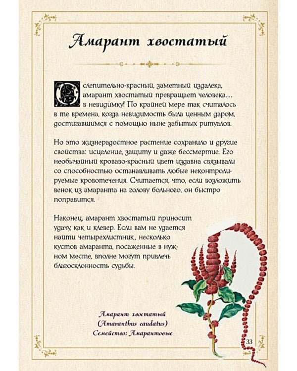 Маленький гримуар ведьмы. Зелья и волшебные травы