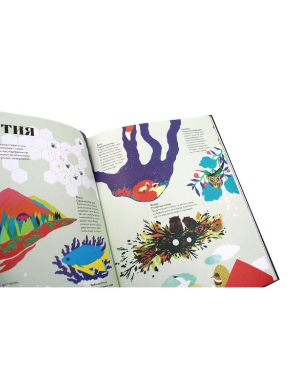 Чудесная книга жизни