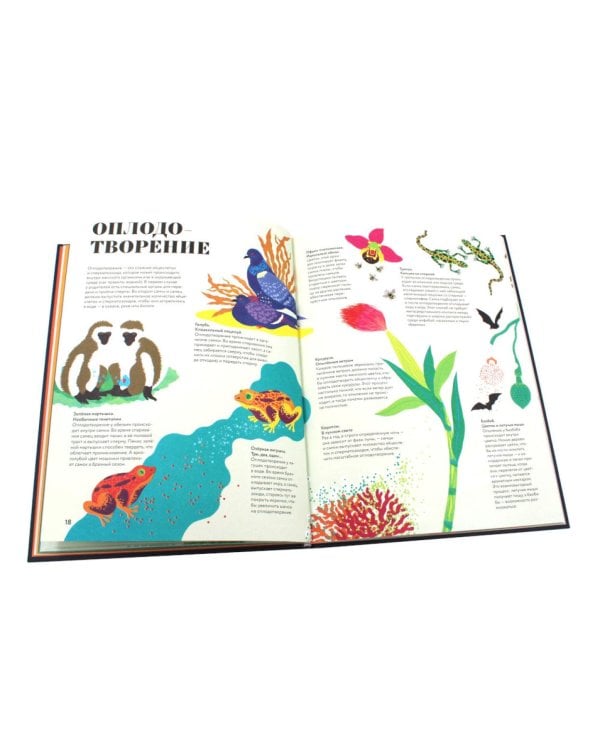 Чудесная книга жизни