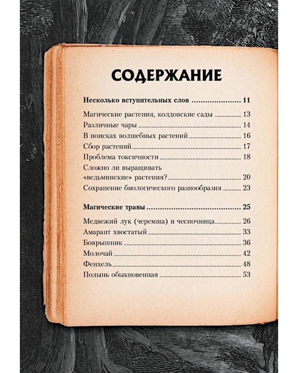 Маленький гримуар ведьмы. Зелья и волшебные травы