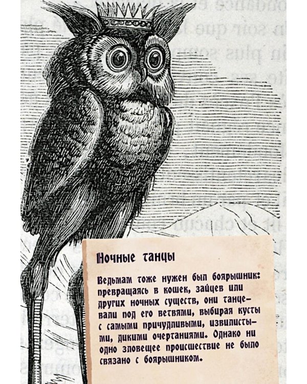 Маленький гримуар ведьмы. Зелья и волшебные травы