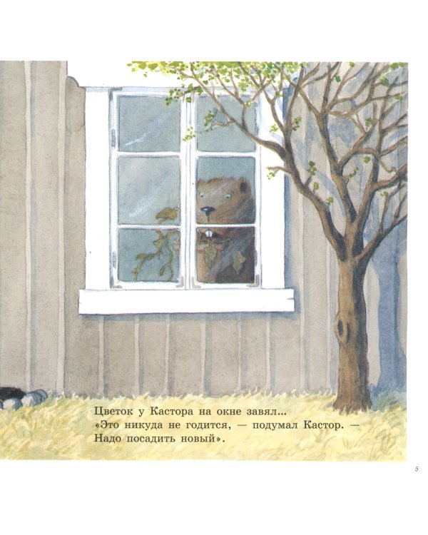 Огород Кастора: книжка-картинка