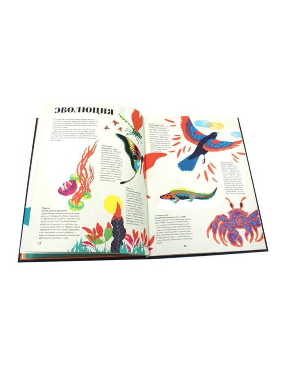 Чудесная книга жизни