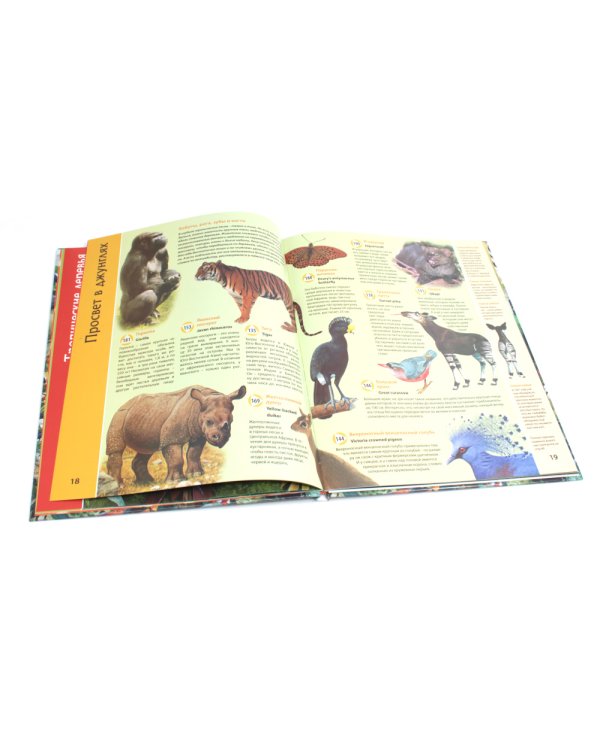 Планета животных книга; Говорящая ручка (память 4Гб + аудиостикеры). Комплект