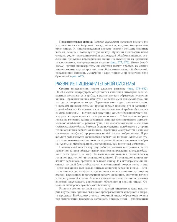 Анатомия человека: атлас: учебное пособие: в 3-х т. Т. 2