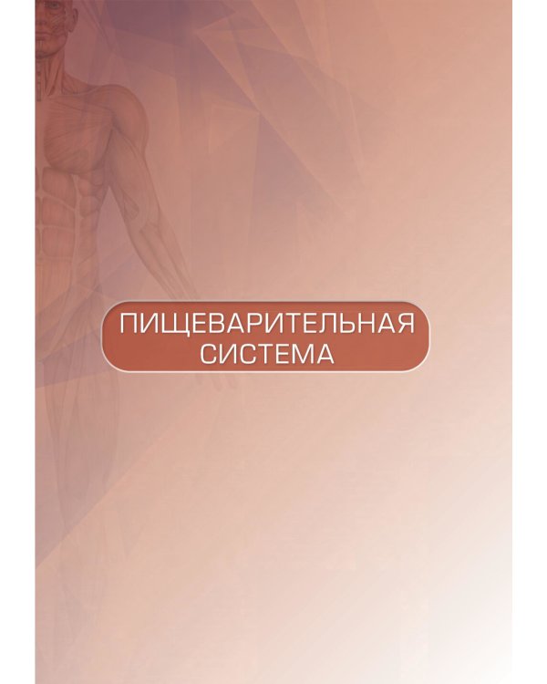 Анатомия человека: атлас: учебное пособие: в 3-х т. Т. 2