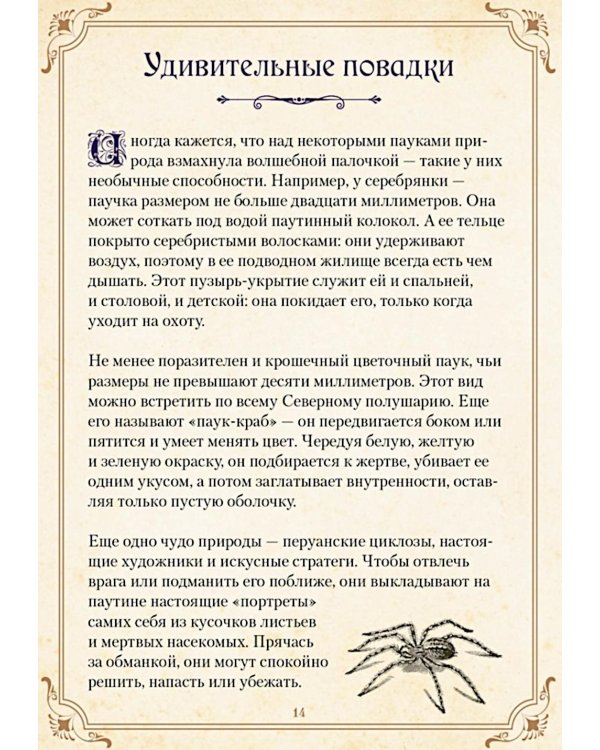 Магические животные. Легенды и суеверия