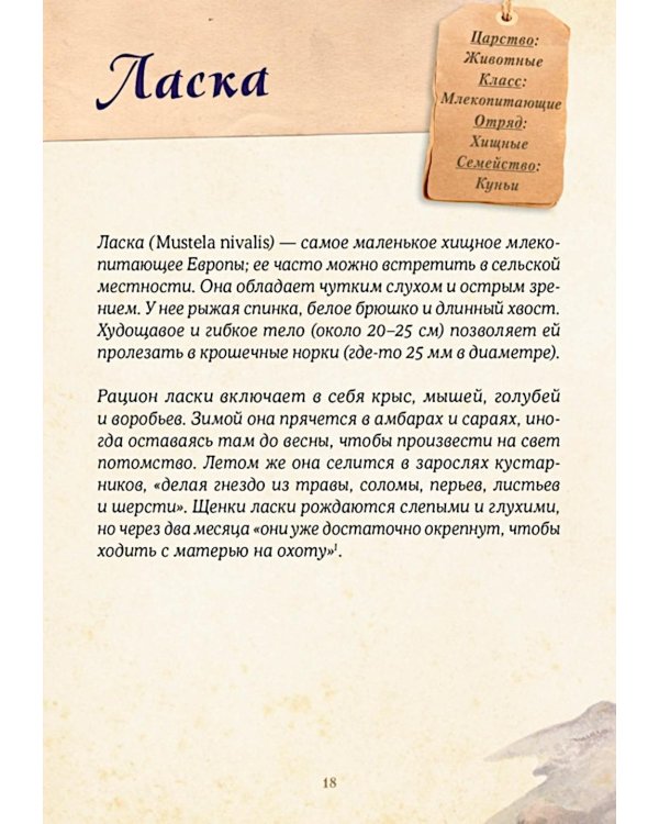 Магические животные. Легенды и суеверия