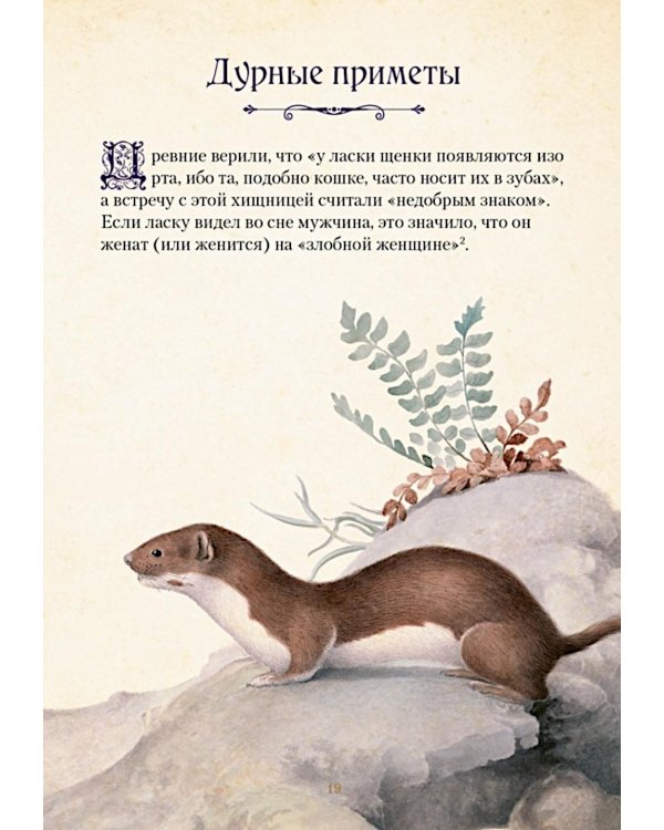 Магические животные. Легенды и суеверия