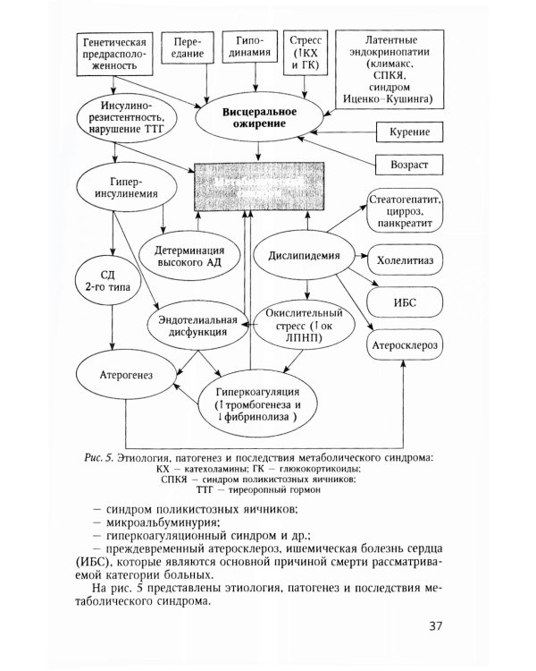 Метаболический синдром и питание: учебное пособие